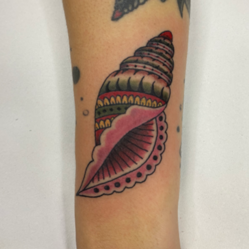 shell