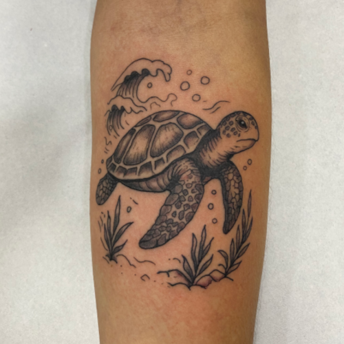 turtle